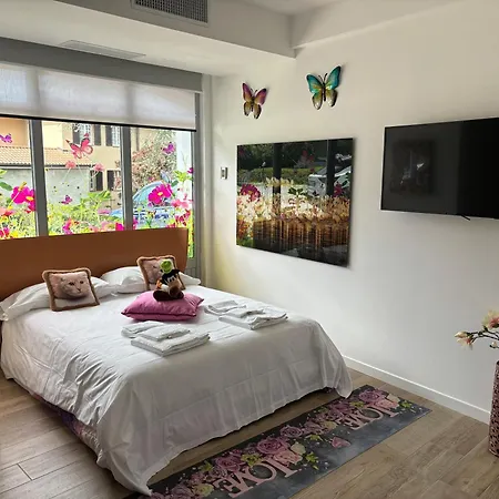 Un Sogno Sul Lago Home Relax Stresa Exterior foto